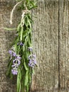 Bunch of lavender herb on old shabby rustic wooden background Royalty Free Stock Photo