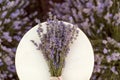 Lavender bouquet on a wooden creamy bench in lavender field