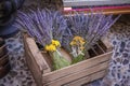 Lavender bouquets decorated with yellow flowers of Helichrysum stoechas, inside a wooden box at a flower market Royalty Free Stock Photo