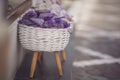 Lavender bud dry flower sachet fragrant bags in basckets, purple organza pouch with natural dried lavender flowers at market. Royalty Free Stock Photo