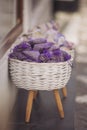 Lavender bud dry flower sachet fragrant bags in basckets, purple organza pouch with natural dried lavender Royalty Free Stock Photo