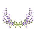 Lavender bunch. Vector floral frame Royalty Free Stock Photo