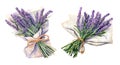 Lavender bunch, watercolor clipart illustration with isolated background