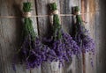 Lavender bundles hanging to dry on barn board