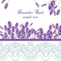 Lavender Card with lace border