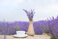 Lavender composition on field.