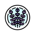 lavender cosmetic plant color icon vector illustration Royalty Free Stock Photo