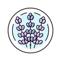 lavender cosmetic plant color icon vector illustration Royalty Free Stock Photo