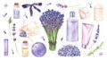 Lavender Cosmetics and flowers Set. Watercolor botanical illustration of purple herbal bouquet. Hand drawn clipart Royalty Free Stock Photo