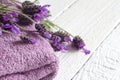 Lavender cosmetics spa body care abstract composition Royalty Free Stock Photo