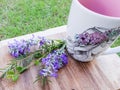 Lavender and a cup of coffee on wood.Fresh spring season Lavender,purple flowers on white background,Bunch of lavender close up Royalty Free Stock Photo