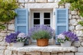 Lavender decorating window of traditional stone house with blue shutters Royalty Free Stock Photo
