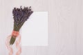 Lavender desk with flowers on background top view mock up.White paper postcard Royalty Free Stock Photo