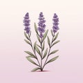 Lavender Doodle: Science-inspired Minimalist Digital Art