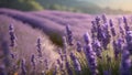 Lavender dreams dilly photo realistic landscape. The feeling of summer. Generative AI.