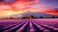 Lavender Dreams at Dusk: Grenoble, France\'s Sunset Canvas