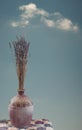 Lavender dried bouquet in vase with blue sky and white cloud background.