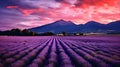 Lavender Elegance: Grenoble\'s Sunset Paints a Dreamlike Scene in France