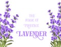 The lavender elegant card