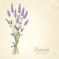 Lavender elegant card