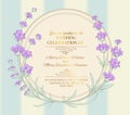 The lavender elegant wreath. Royalty Free Stock Photo