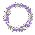 The lavender elegant wreath. Royalty Free Stock Photo