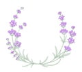 The lavender elegant wreath. Royalty Free Stock Photo