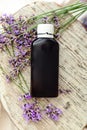 Lavender essential oil bottle on white wooden rustic board with fresh lavender flowers. Aromatherapy treatment, natural organic Royalty Free Stock Photo