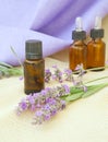 Lavender essential oil Royalty Free Stock Photo