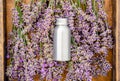 Lavender essential oil metal silver bottle on fresh lavender flowers in wooden box. Flat lay apothecary herbs for aromatherapy Royalty Free Stock Photo