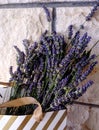 Beautiful blue flower of lavender.