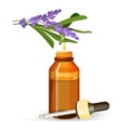 Lavender extract oil in glass bottle with pipette