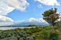 Lavender farm in Oishi Park, Lake Kawaguchiko