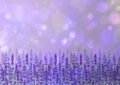 Lavender field background. Watercolour hand drawn flowers, leaves, plants