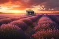 Lavender field and hut during sunset. Generative AI Royalty Free Stock Photo