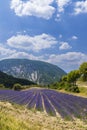 Lavender field near Montbrun les Bains and Sault, Provence, France Royalty Free Stock Photo