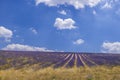 Lavender field near Montbrun les Bains and Sault, Provence, France Royalty Free Stock Photo