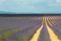 Lavender field, Provence, France Royalty Free Stock Photo