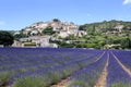 Lavender field and Simiane la rotonde village Royalty Free Stock Photo