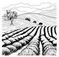 Lavender field sketch hand drawn in doodle style Vector illustration Royalty Free Stock Photo