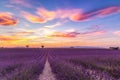 Lavender field summer landscape near Valensole Royalty Free Stock Photo