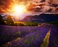 Lavender field Summer sunset landscape Royalty Free Stock Photo