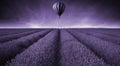 Lavender field Summer sunset landscape with hot air balloon tone