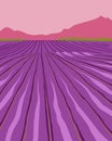 Lavender field. Summer sunset landscape with mountain and trees. Fields of blooming lavender in Provence. Vector Royalty Free Stock Photo