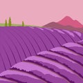 Lavender field. Summer sunset landscape with mountain and trees. Fields of blooming lavender in Provence. Vector Royalty Free Stock Photo