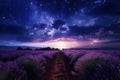 Lavender field sunset and lines Royalty Free Stock Photo