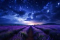 Lavender field sunset and lines Royalty Free Stock Photo