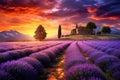 Lavender field at sunset in Provence, France, A captivating sunset over a picturesque lavender field, AI Generated