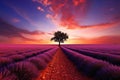 Lavender field at sunset in Provence, France, Stunning lavender field landscape at summer sunset with a single tree, AI Generated Royalty Free Stock Photo