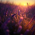 Lavender Field at Sunset, Purple Flowers, Morning Lavender Fields, Abstract Generative AI Illustration